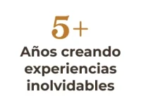 Titulo 2 Global